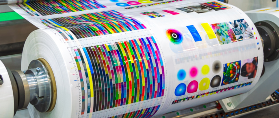 Catalogue Printing Web Press